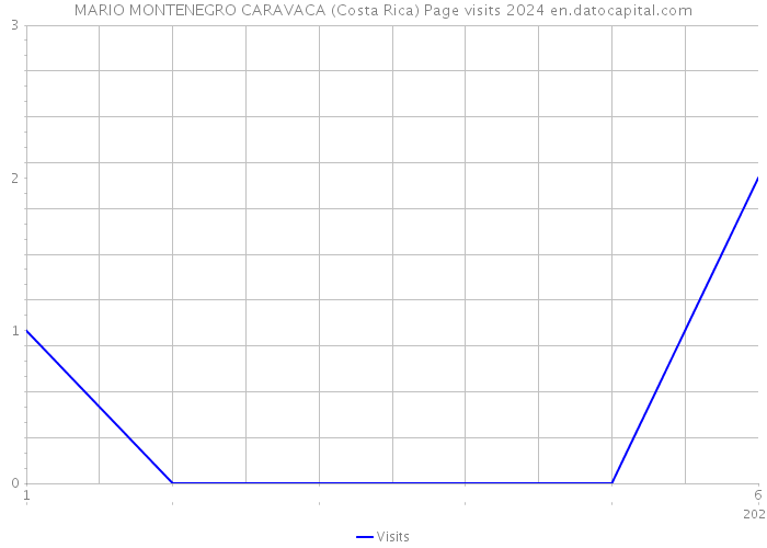 MARIO MONTENEGRO CARAVACA (Costa Rica) Page visits 2024 