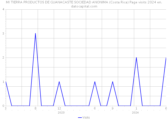 MI TIERRA PRODUCTOS DE GUANACASTE SOCIEDAD ANONIMA (Costa Rica) Page visits 2024 