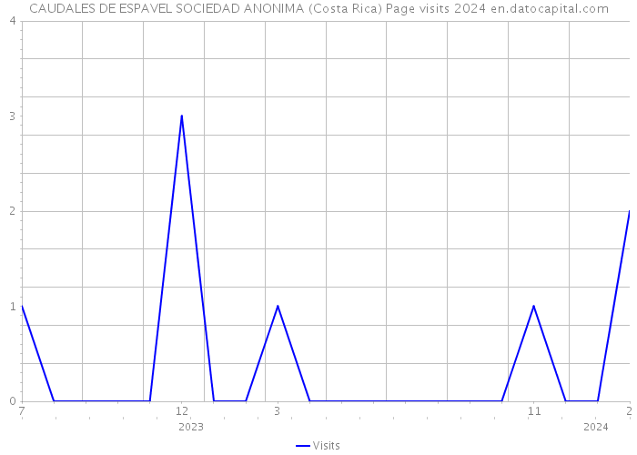 CAUDALES DE ESPAVEL SOCIEDAD ANONIMA (Costa Rica) Page visits 2024 