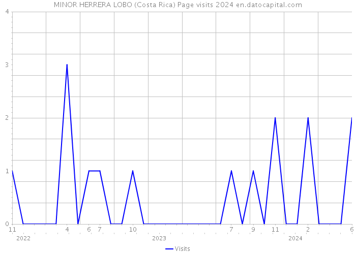 MINOR HERRERA LOBO (Costa Rica) Page visits 2024 