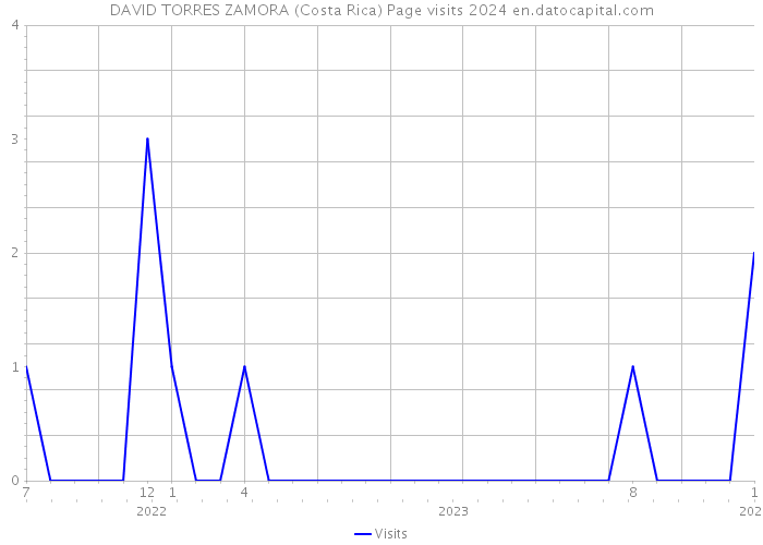 DAVID TORRES ZAMORA (Costa Rica) Page visits 2024 