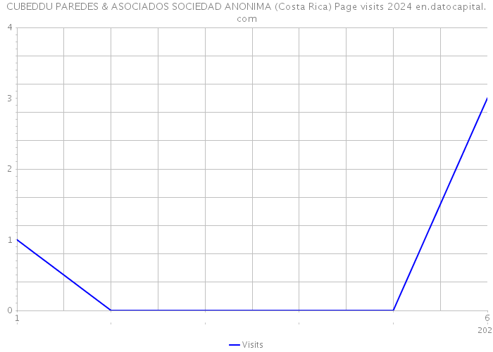 CUBEDDU PAREDES & ASOCIADOS SOCIEDAD ANONIMA (Costa Rica) Page visits 2024 