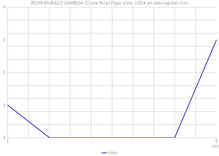 RICHI MURILLO GAMBOA (Costa Rica) Page visits 2024 