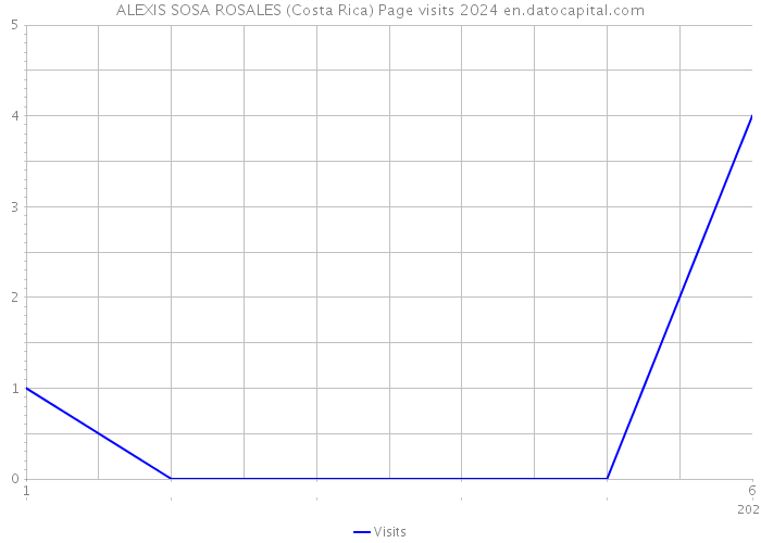 ALEXIS SOSA ROSALES (Costa Rica) Page visits 2024 