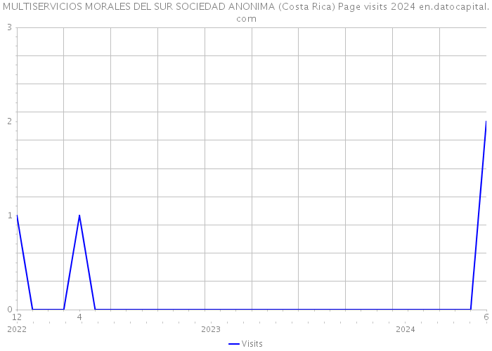 MULTISERVICIOS MORALES DEL SUR SOCIEDAD ANONIMA (Costa Rica) Page visits 2024 