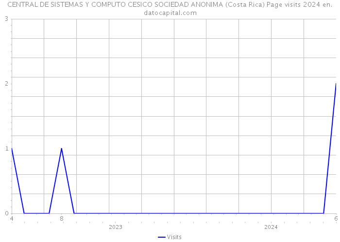 CENTRAL DE SISTEMAS Y COMPUTO CESICO SOCIEDAD ANONIMA (Costa Rica) Page visits 2024 