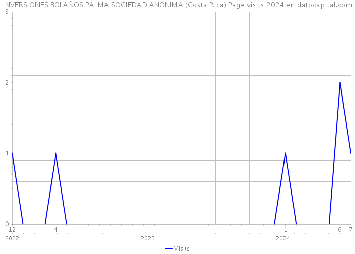 INVERSIONES BOLAŃOS PALMA SOCIEDAD ANONIMA (Costa Rica) Page visits 2024 