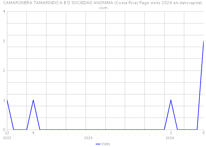 CAMARONERA TAMARINDO A B D SOCIEDAD ANONIMA (Costa Rica) Page visits 2024 