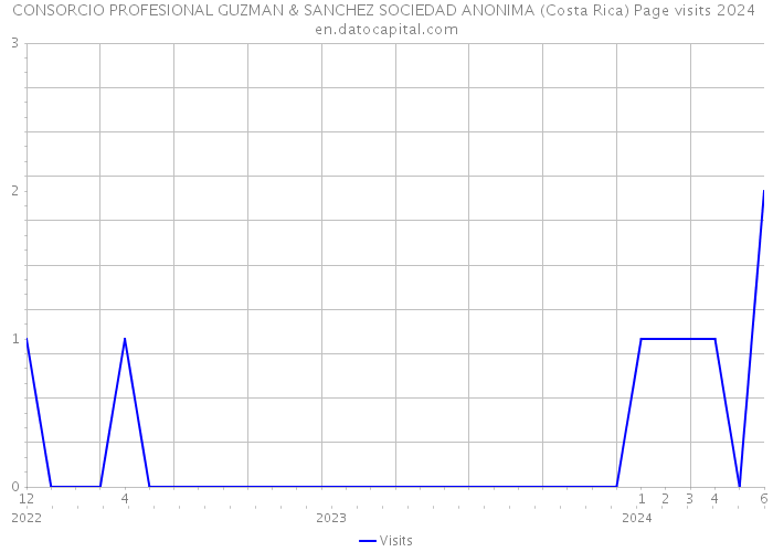 CONSORCIO PROFESIONAL GUZMAN & SANCHEZ SOCIEDAD ANONIMA (Costa Rica) Page visits 2024 