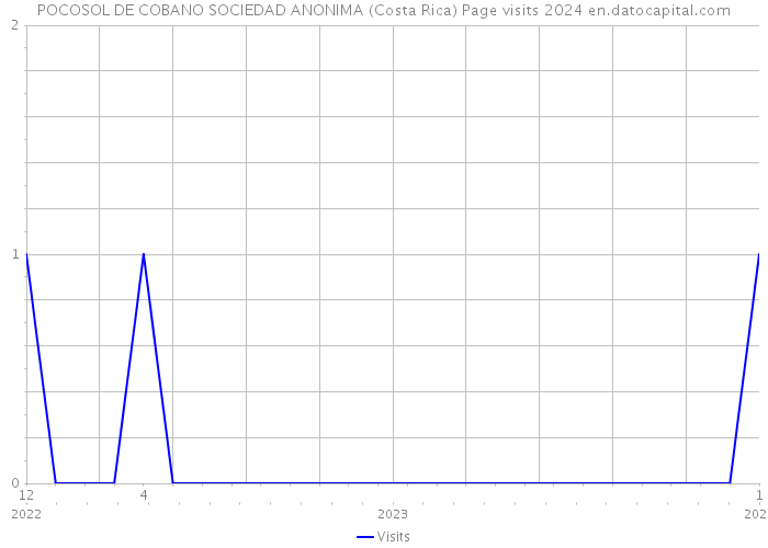 POCOSOL DE COBANO SOCIEDAD ANONIMA (Costa Rica) Page visits 2024 