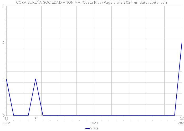 CORA SUREŃA SOCIEDAD ANONIMA (Costa Rica) Page visits 2024 