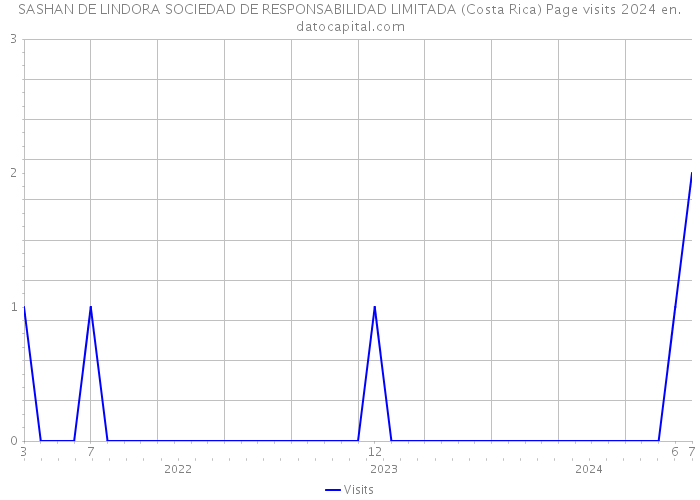 SASHAN DE LINDORA SOCIEDAD DE RESPONSABILIDAD LIMITADA (Costa Rica) Page visits 2024 