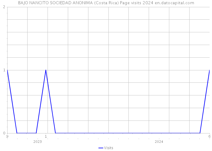 BAJO NANCITO SOCIEDAD ANONIMA (Costa Rica) Page visits 2024 