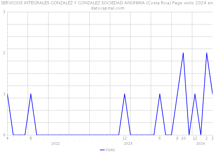 SERVICIOS INTEGRALES GONZALEZ Y GONZALEZ SOCIEDAD ANONIMA (Costa Rica) Page visits 2024 