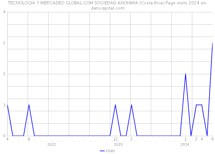 TECNOLOGIA Y MERCADEO GLOBAL.COM SOCIEDAD ANONIMA (Costa Rica) Page visits 2024 