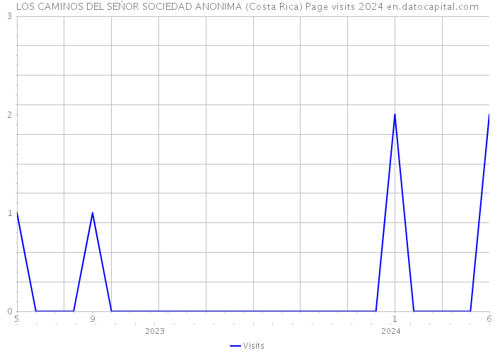 LOS CAMINOS DEL SEŃOR SOCIEDAD ANONIMA (Costa Rica) Page visits 2024 