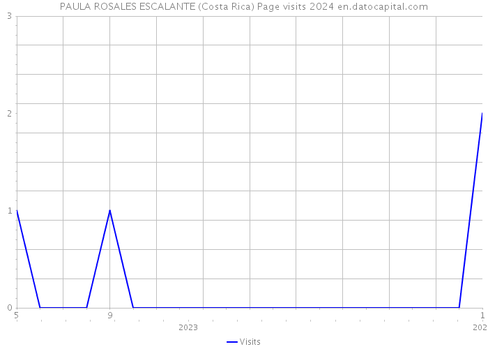 PAULA ROSALES ESCALANTE (Costa Rica) Page visits 2024 