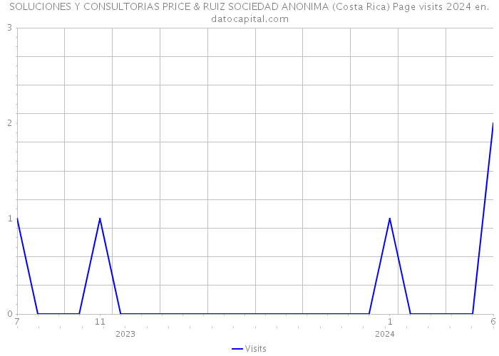 SOLUCIONES Y CONSULTORIAS PRICE & RUIZ SOCIEDAD ANONIMA (Costa Rica) Page visits 2024 