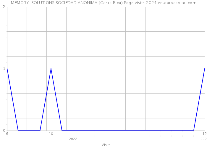 MEMORY-SOLUTIONS SOCIEDAD ANONIMA (Costa Rica) Page visits 2024 