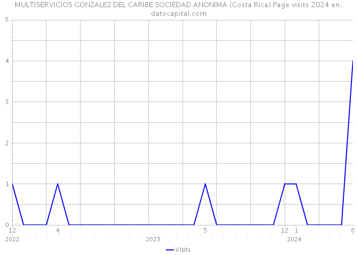 MULTISERVICIOS GONZALEZ DEL CARIBE SOCIEDAD ANONIMA (Costa Rica) Page visits 2024 