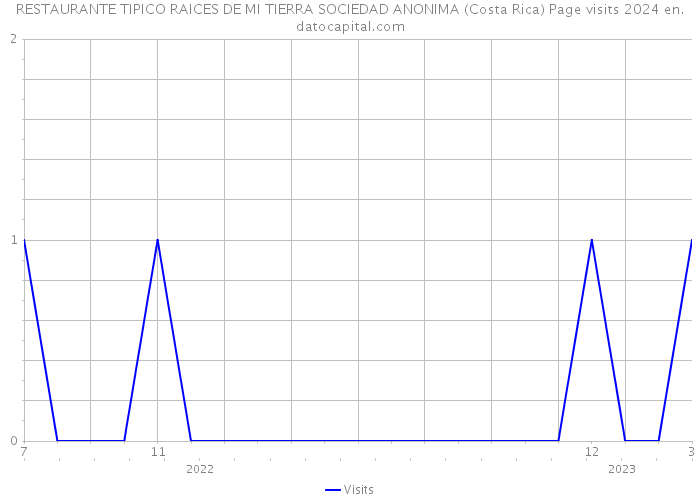 RESTAURANTE TIPICO RAICES DE MI TIERRA SOCIEDAD ANONIMA (Costa Rica) Page visits 2024 