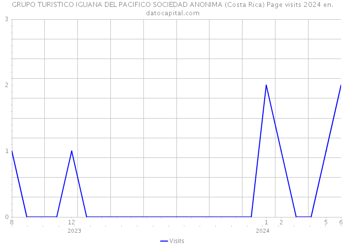 GRUPO TURISTICO IGUANA DEL PACIFICO SOCIEDAD ANONIMA (Costa Rica) Page visits 2024 