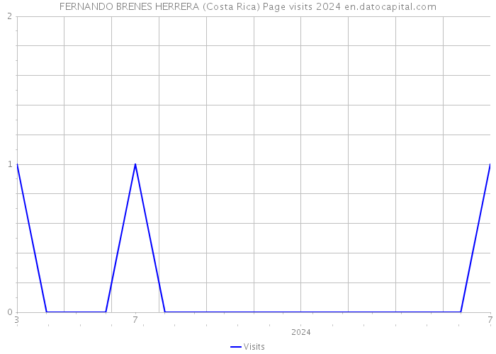 FERNANDO BRENES HERRERA (Costa Rica) Page visits 2024 