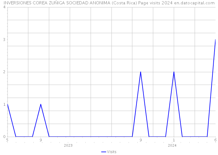INVERSIONES COREA ZUŃIGA SOCIEDAD ANONIMA (Costa Rica) Page visits 2024 
