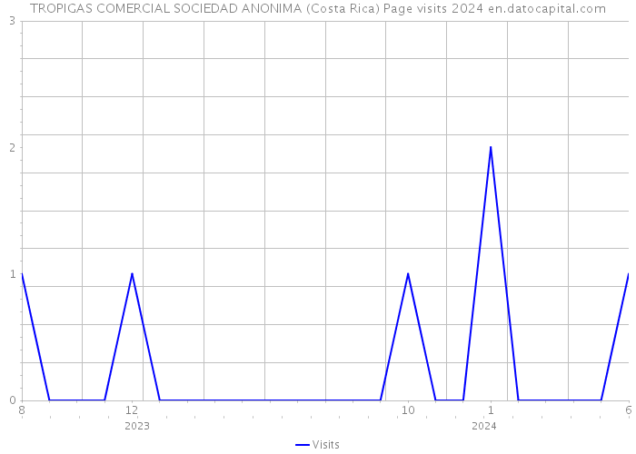 TROPIGAS COMERCIAL SOCIEDAD ANONIMA (Costa Rica) Page visits 2024 