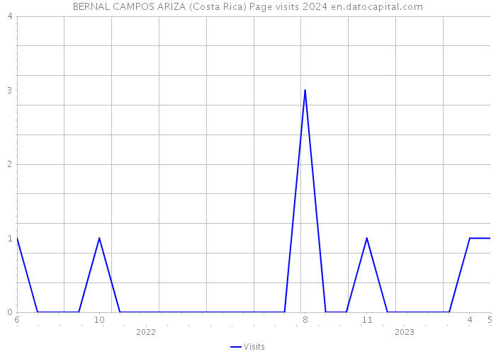 BERNAL CAMPOS ARIZA (Costa Rica) Page visits 2024 