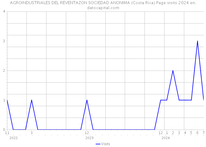 AGROINDUSTRIALES DEL REVENTAZON SOCIEDAD ANONIMA (Costa Rica) Page visits 2024 
