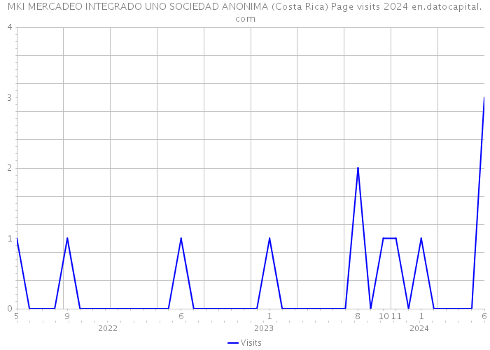 MKI MERCADEO INTEGRADO UNO SOCIEDAD ANONIMA (Costa Rica) Page visits 2024 