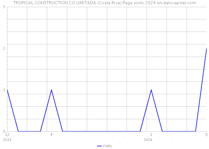 TROPICAL CONSTRUCTION CO LIMITADA (Costa Rica) Page visits 2024 
