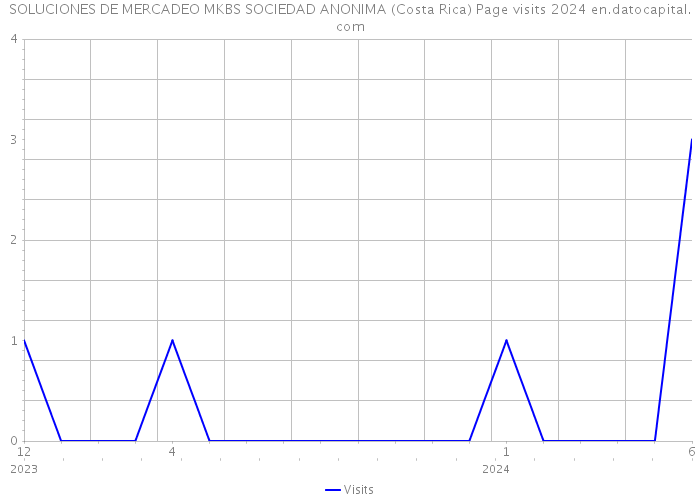 SOLUCIONES DE MERCADEO MKBS SOCIEDAD ANONIMA (Costa Rica) Page visits 2024 