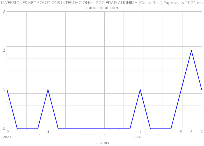 INVERSIONES NET SOLUTIONS INTERNACIONAL SOCIEDAD ANONIMA (Costa Rica) Page visits 2024 
