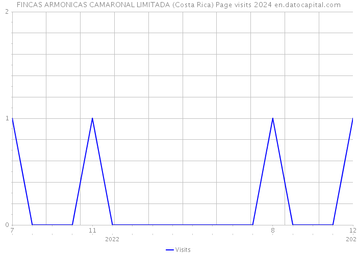 FINCAS ARMONICAS CAMARONAL LIMITADA (Costa Rica) Page visits 2024 