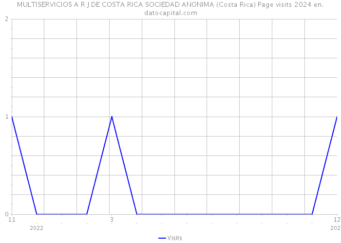MULTISERVICIOS A R J DE COSTA RICA SOCIEDAD ANONIMA (Costa Rica) Page visits 2024 