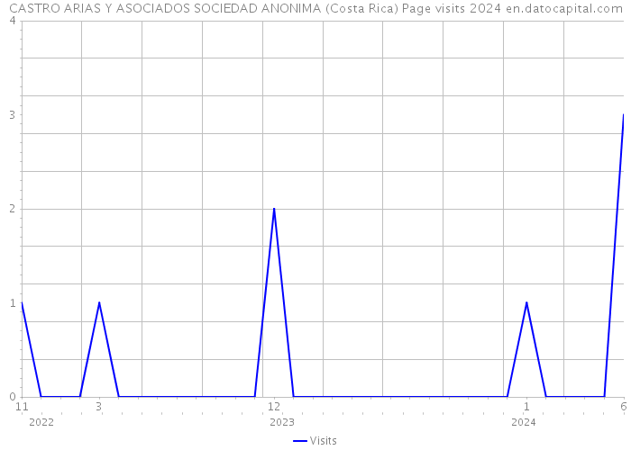CASTRO ARIAS Y ASOCIADOS SOCIEDAD ANONIMA (Costa Rica) Page visits 2024 