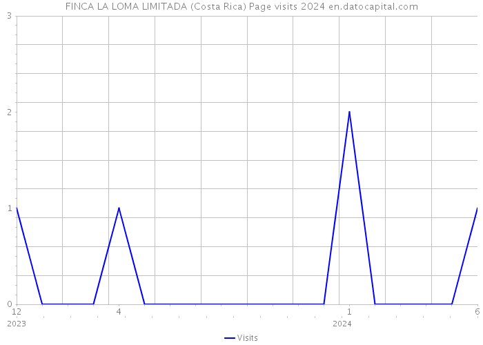 FINCA LA LOMA LIMITADA (Costa Rica) Page visits 2024 