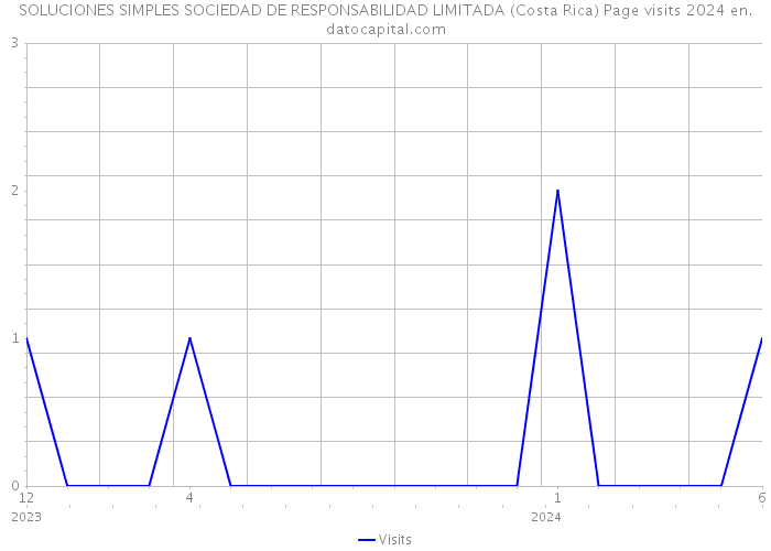 SOLUCIONES SIMPLES SOCIEDAD DE RESPONSABILIDAD LIMITADA (Costa Rica) Page visits 2024 