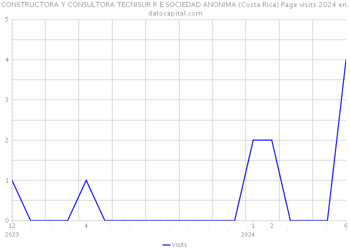 CONSTRUCTORA Y CONSULTORA TECNISUR R E SOCIEDAD ANONIMA (Costa Rica) Page visits 2024 