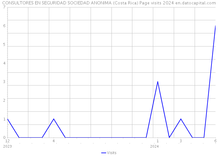 CONSULTORES EN SEGURIDAD SOCIEDAD ANONIMA (Costa Rica) Page visits 2024 