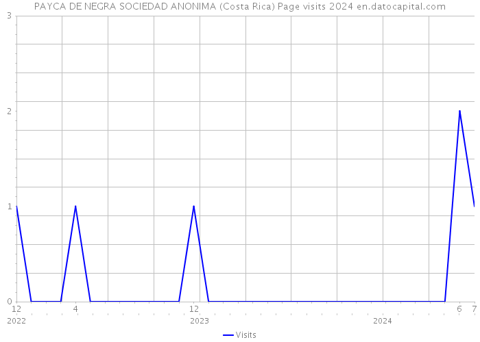 PAYCA DE NEGRA SOCIEDAD ANONIMA (Costa Rica) Page visits 2024 
