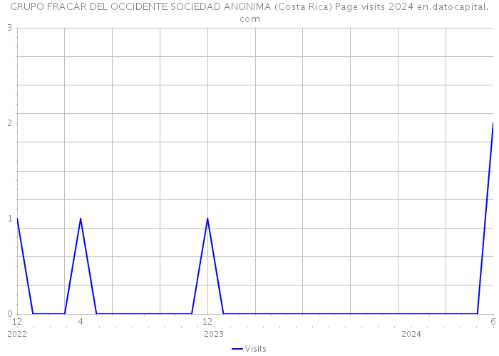 GRUPO FRACAR DEL OCCIDENTE SOCIEDAD ANONIMA (Costa Rica) Page visits 2024 