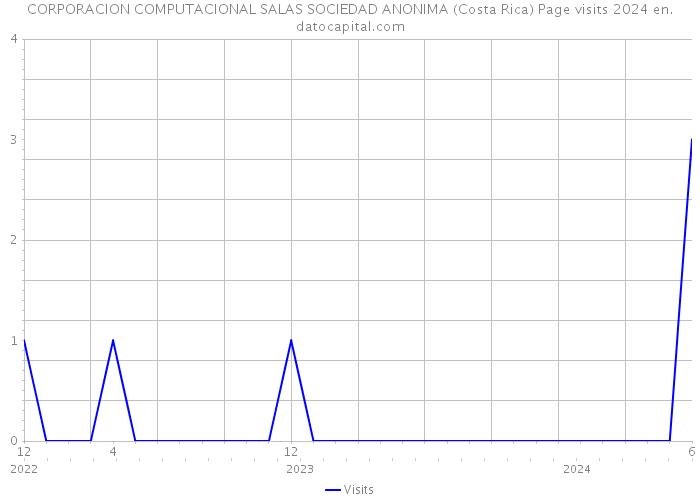CORPORACION COMPUTACIONAL SALAS SOCIEDAD ANONIMA (Costa Rica) Page visits 2024 