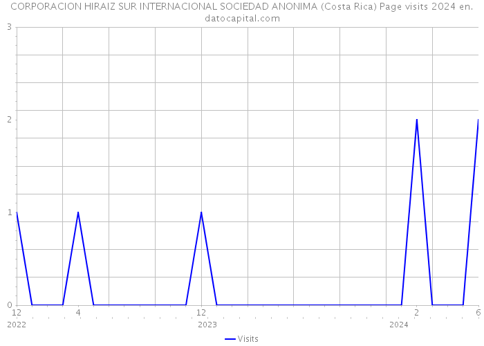 CORPORACION HIRAIZ SUR INTERNACIONAL SOCIEDAD ANONIMA (Costa Rica) Page visits 2024 