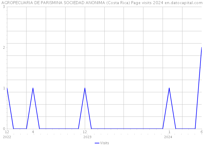 AGROPECUARIA DE PARISMINA SOCIEDAD ANONIMA (Costa Rica) Page visits 2024 