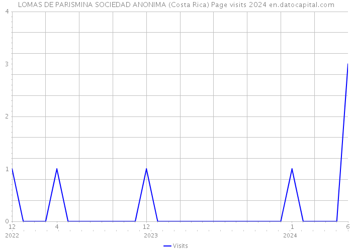 LOMAS DE PARISMINA SOCIEDAD ANONIMA (Costa Rica) Page visits 2024 