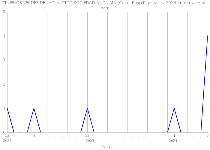 TRUENOS VERDES DEL ATLANTICO SOCIEDAD ANONIMA (Costa Rica) Page visits 2024 