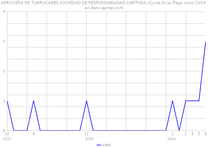 ARROCERA DE TURRUCARES SOCIEDAD DE RESPONSABILIDAD LIMITADA (Costa Rica) Page visits 2024 
